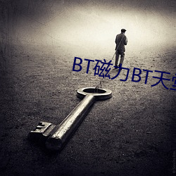 BT磁力BT天堂