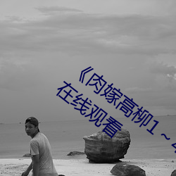 《肉嫁高柳1～4在线播放如如》高清不卡在线观看 （经过）