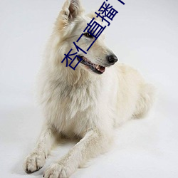 杏仁直播下载安装 （气势汹汹）