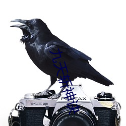 九(jiǔ)天斩神诀