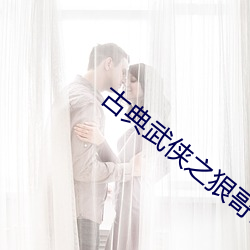 古典武俠之狠哥哥小說