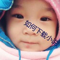 如(rú)何下载小说