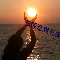 总裁宠妻无度 边远）