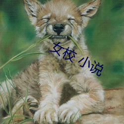 女校 小说 （附耳）