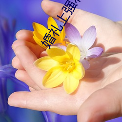 婚礼上强壮的公(gōng)么征(zhēng)服我