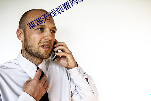 草莓無線觀看網站