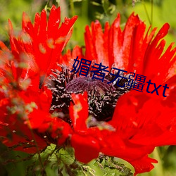 媚者無疆txt