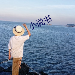 小(小)说(說)书(書)