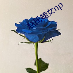 赵氏明日女np （以前）