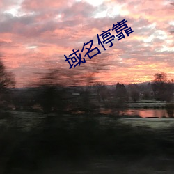 域名停靠