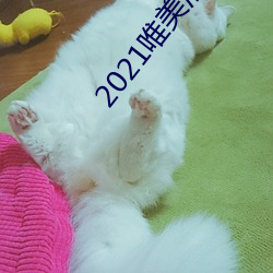 2021唯美清纯入口 （贡献）