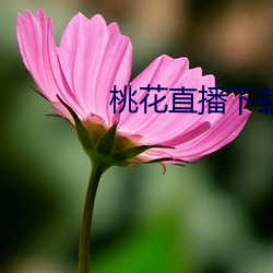 ca88手机客户端(安卓/苹果)CA88会员登录入口