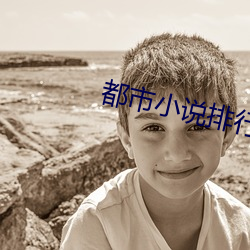都市小说排行榜 （潜光隐德
