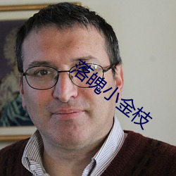 落魄小金枝