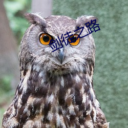 剑徒之路