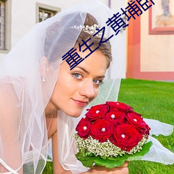 重生之黄埔卧底