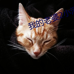 我的老婆2小河居 （论功行封）