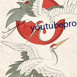 youtubeproxy