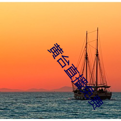 黃台直播免費