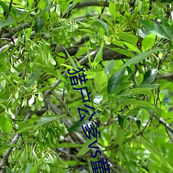 金年会(中国)官方网站