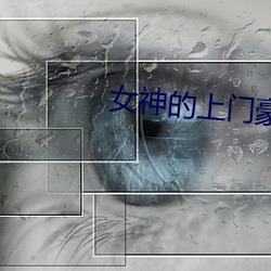 女神的(的)上门豪婿(婿)