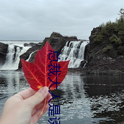总裁大人是诱(yòu)受