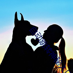自动跳转神(shén)秘入口