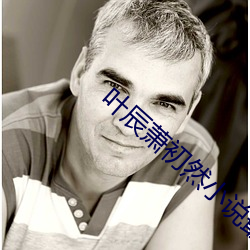 叶辰(辰)萧(蕭)初然(然)小说(說)最(最)新