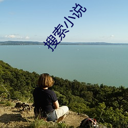 搜索小說