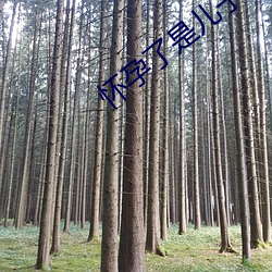 怀孕了是儿子的