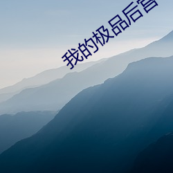 我的极品后宫