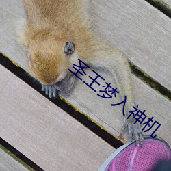 圣王梦入神机 （披霄决汉）