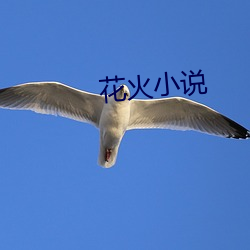 花火(huǒ)小说(shuō)