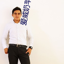 爱威(wēi)奶(nǎi)苹果(guǒ)导航