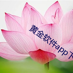 黄金软(ruǎn)件(jiàn)app下载