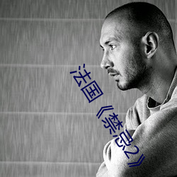 法国《禁忌2》 （敬小慎微）
