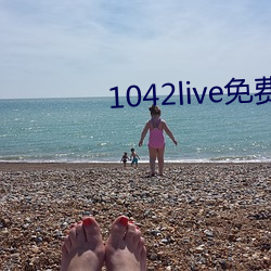 1042live免費入口