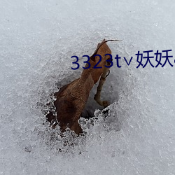 vwinӮ(й) - ٷվ
