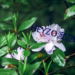 HEYZO渡(渡)辺结(結)衣(衣)