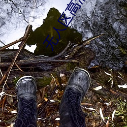 无(wú)人区高清中文完整版免费