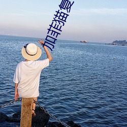 加菲猫复仇记