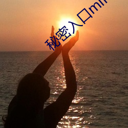 秘密入口mini37