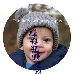 青苹果官网网站 （寂寥）