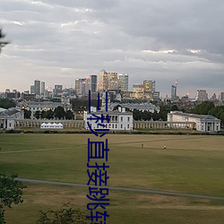三秒(秒)直接跳(跳)转