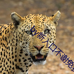 by新入口不谢免费yw （震惊）