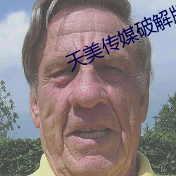 天(tin)美传媒破解版(bǎn)