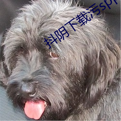 抖阴下载污spp
