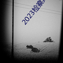 2023檢察風雲在線觀看