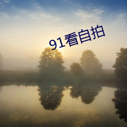 91看自拍 （历精为治）