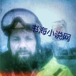 书海小说网